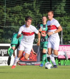 FC Wacker Innsbruck - VfB Stuttgart