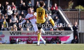 08.02.25 VfB Stuttgart II - SG Dynamo Dresden