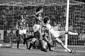 VfB Stuttgart - Cosmos New York