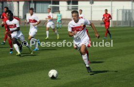 U19 VfB Stuttgart - U17 FC Bayern M&uuml;nchen
