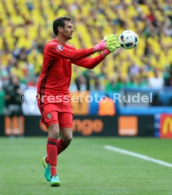 UEFA Frankreich Euro 2016 Irland - Schweden