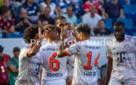 20.09.25 TSG 1899 Hoffenheim - FC Bayern M&uuml;nchen
