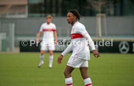 24.01.21 VfB Stuttgart II - SSV Ulm 1846