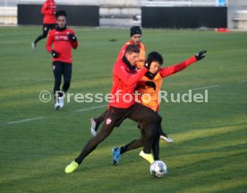 VfB Stuttgart Training