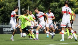 24.08.24 U19 VfB Stuttgart - U19 Stuttgarter Kickers