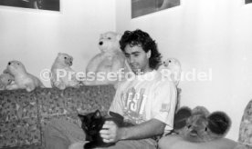 15.12.90 VfB Gaudino Katze Mini