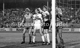 VfB Stuttgart - 1. FC K&ouml;ln