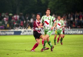 VfB Stuttgart - Rapid Wien