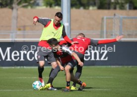 VFB Stuttgart Training