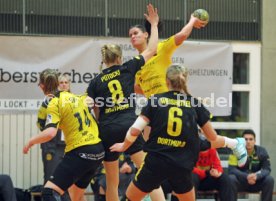 TV Nellingen