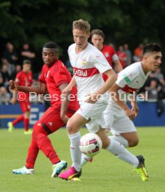 U 17 VfB Stuttgart - U17 FC Bayern M&uuml;nchen