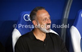 29.09.23 TSG 1899 Hoffenheim - Borussia Dortmund