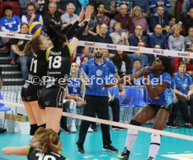 Allianz MTV Stuttgart - Ladies in Black Aachen
