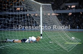 FIFA WM 1978