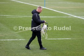 31.03.26 VfB Stuttgart Training