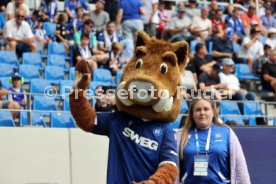 03.08.24 Karlsruher SC - 1. FC N&uuml;rnberg