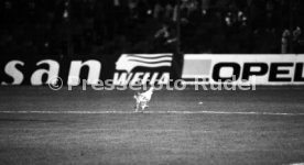 27.09.89 Feyenoord Rotterdam - VfB Stuttgart