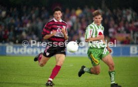 VfB Stuttgart - Rapid Wien