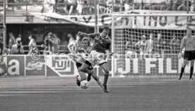 WM 1990 CSFR - Deutschland