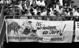 17.06.88 Deutschland - Spanien