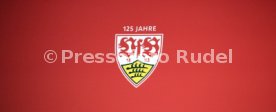 VfB Stuttgart Pressekonferenz