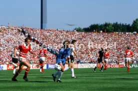 14.06.88 Deutschland - D&auml;nemark