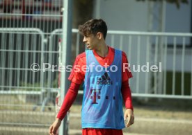 U19 VfB Stuttgart - U17 FC Bayern München