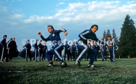 FIFA WM 1978