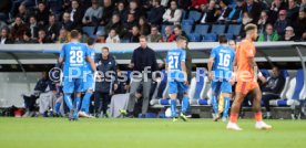 TSG 1899 Hoffenheim - Olympique Lyon