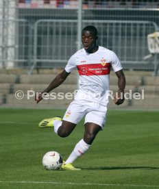 U19 VfB Stuttgart - U17 FC Bayern M&uuml;nchen