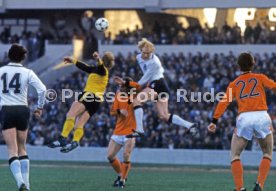 FIFA WM 1978