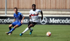 14.07.21 VfB Stuttgart - SV Darmstadt 98