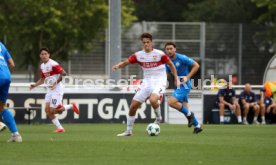 01.08.26 VfB Stuttgart II - FC Astoria Walldorf