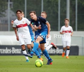U19 VfB Stuttgart - U17 TSG 1899 Hoffenheim