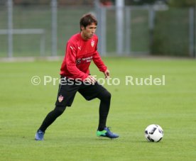 VfB Stuttgart Training