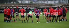 VfB Stuttgart Training
