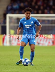 TSG 1899 Hoffenheim - Olympique Lyon