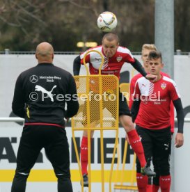 VfB Stuttgart Training