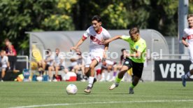 24.08.24 U19 VfB Stuttgart - U19 Stuttgarter Kickers