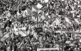 25.05.88 PSV Eindhoven - Benfica Lissabon