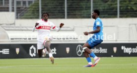 14.09.24 U17 VfB Stuttgart - U17 TSG 1899 Hoffenheim
