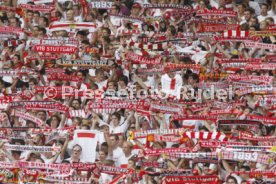 VFB Fans