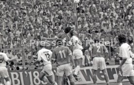05.06.1993 VfB Stuttgart - SV Werder Bremen