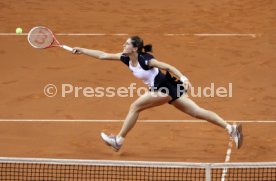 Porsche Tennis Grand Prix 2013
