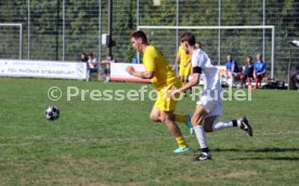 23.08.26 TSV Ph&ouml;nix Steinsfurt - SV Tiefenbach