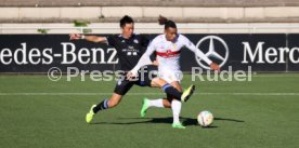 22.09.22 VfB Stuttgart - Grasshopper Club Z&uuml;rich