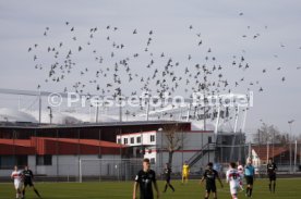 U19 VfB Stuttgart - U17 Eintracht Frankfurt