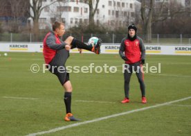 VfB Stuttgart Training