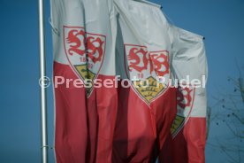 24.01.21 VfB Stuttgart II - SSV Ulm 1846
