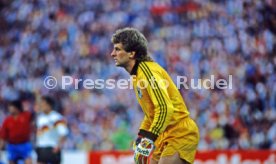 17.06.88 Deutschland - Spanien